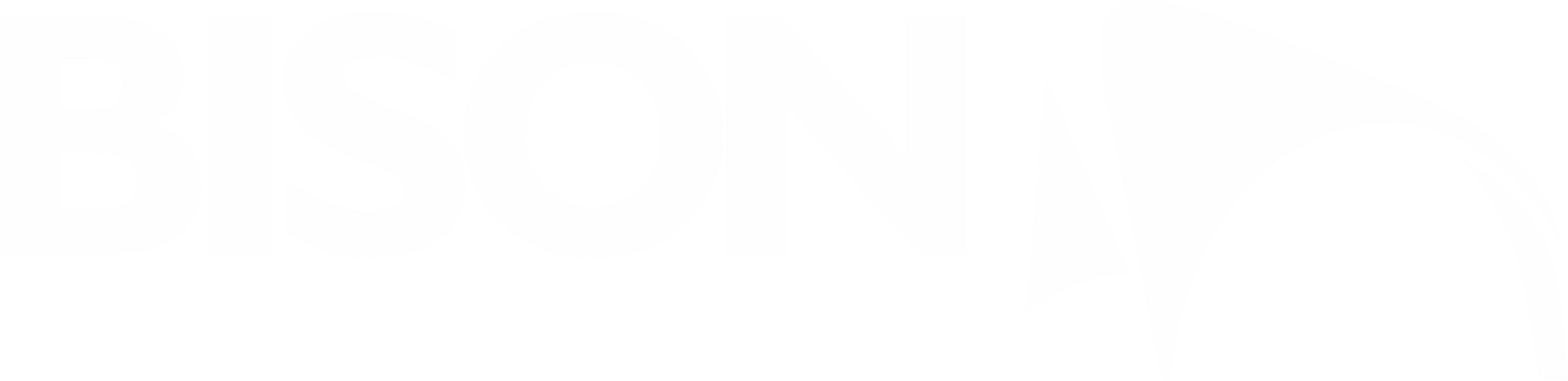 bisonvzla.com